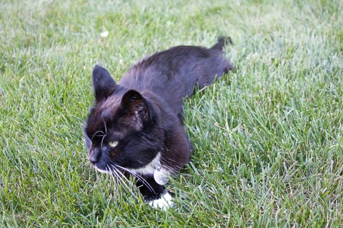 Emma_2008-07-12_0006